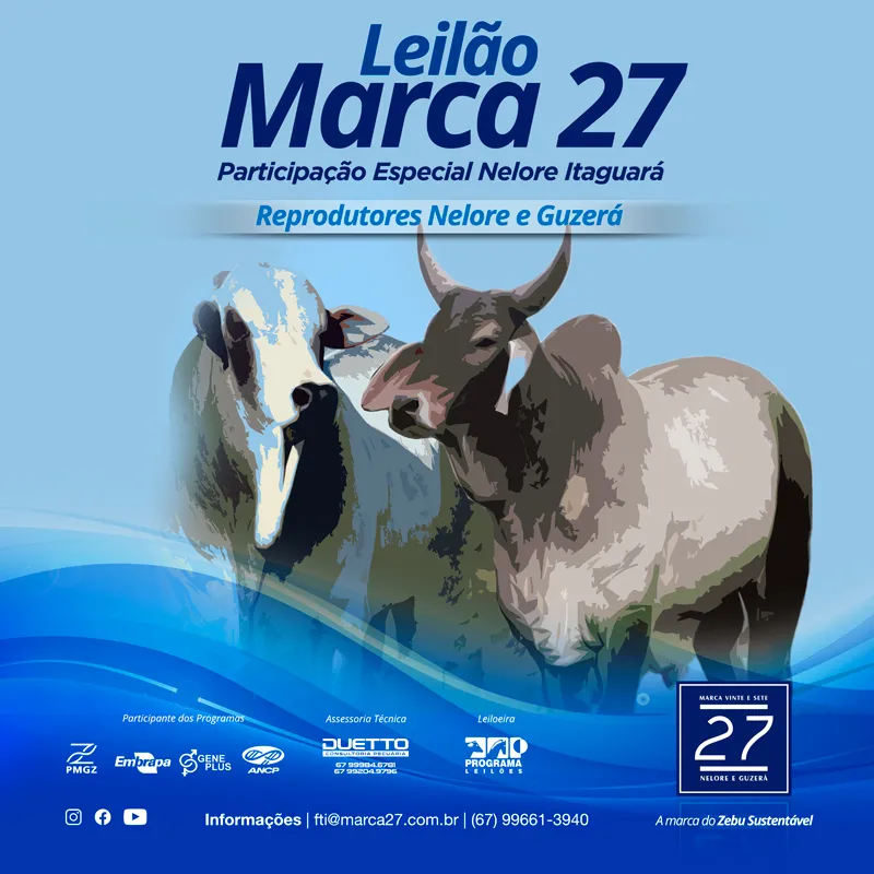 Leilão Marca 27 — 2025