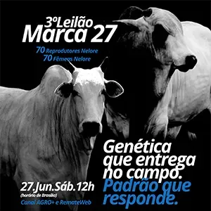 Leilão Marca 27 — 2026