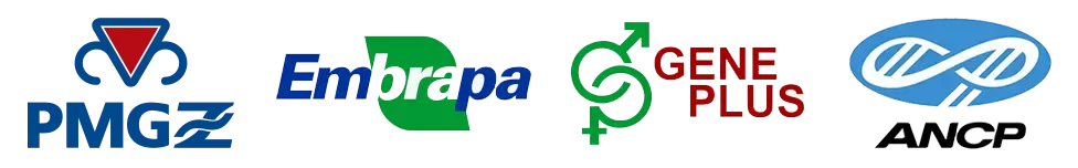 Programas de avaliação genética: PMGZ (ABCZ), Embrapa Geneplus e ANCP