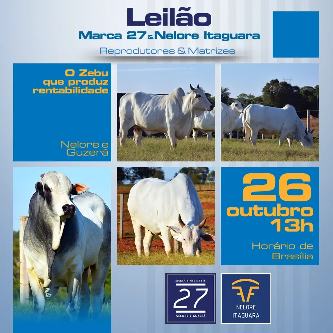 Leilão Marca 27 — 2024