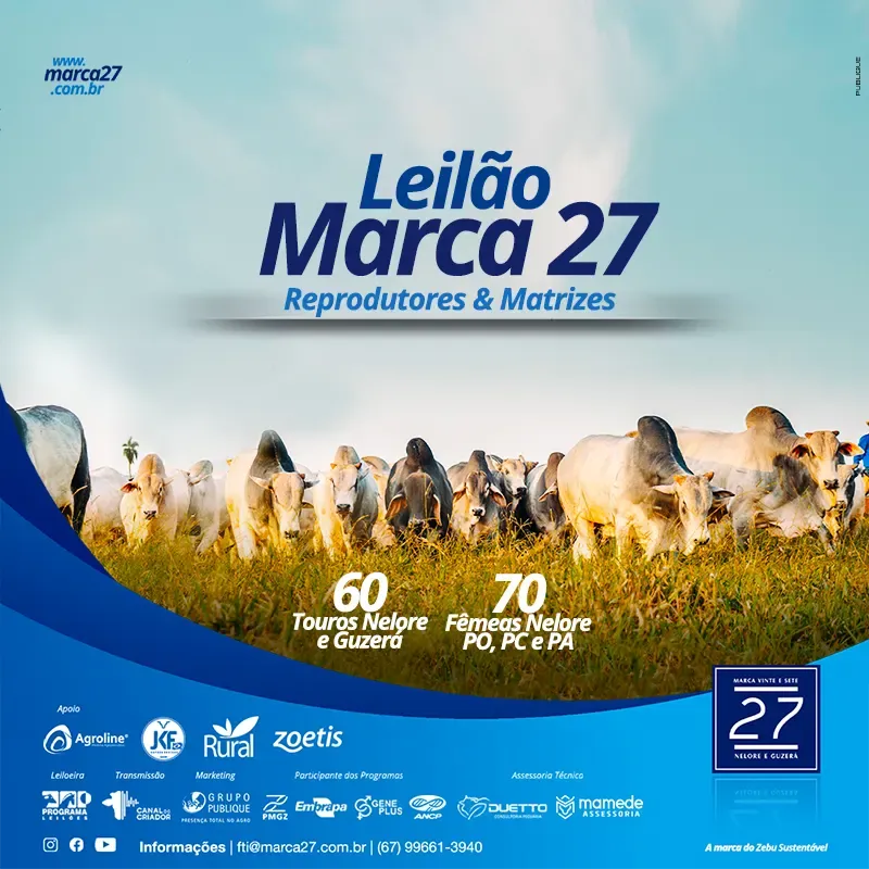 Leilão Marca 27 — 2024