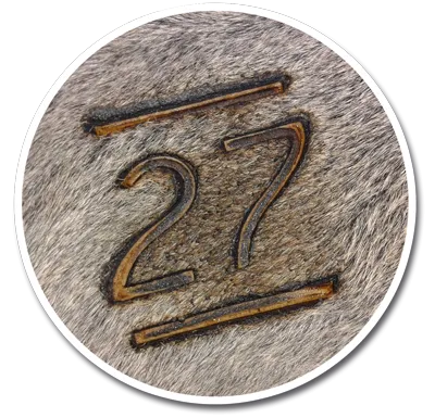 A marca 27 gravada a ferro no couro