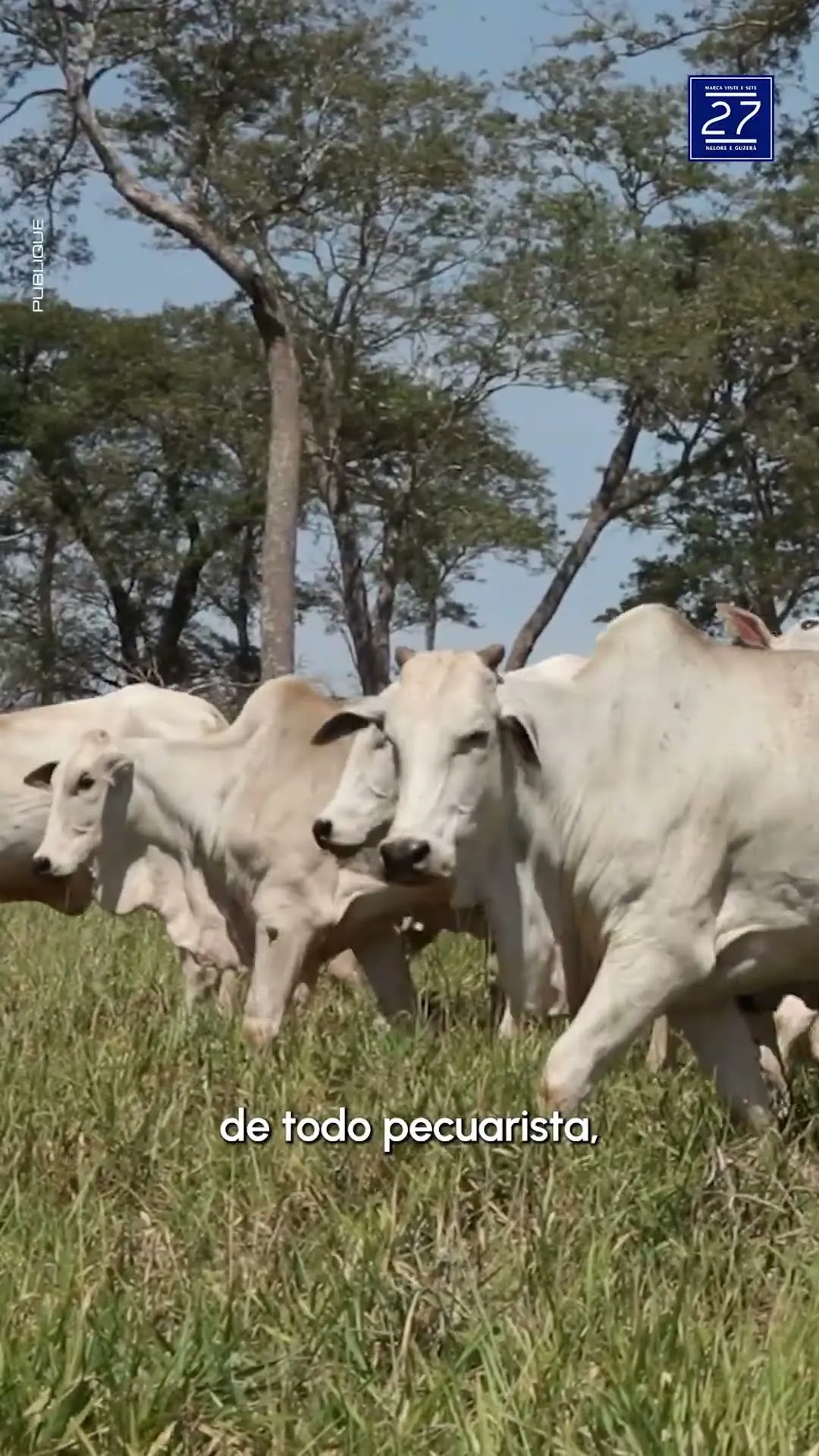 Marca 27: #Genética — vídeo