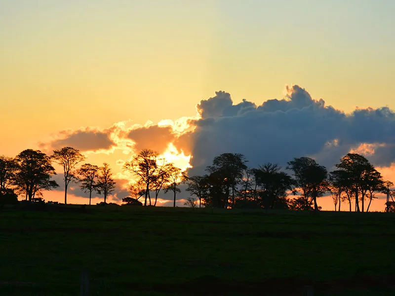 Pôr do sol na fazenda
